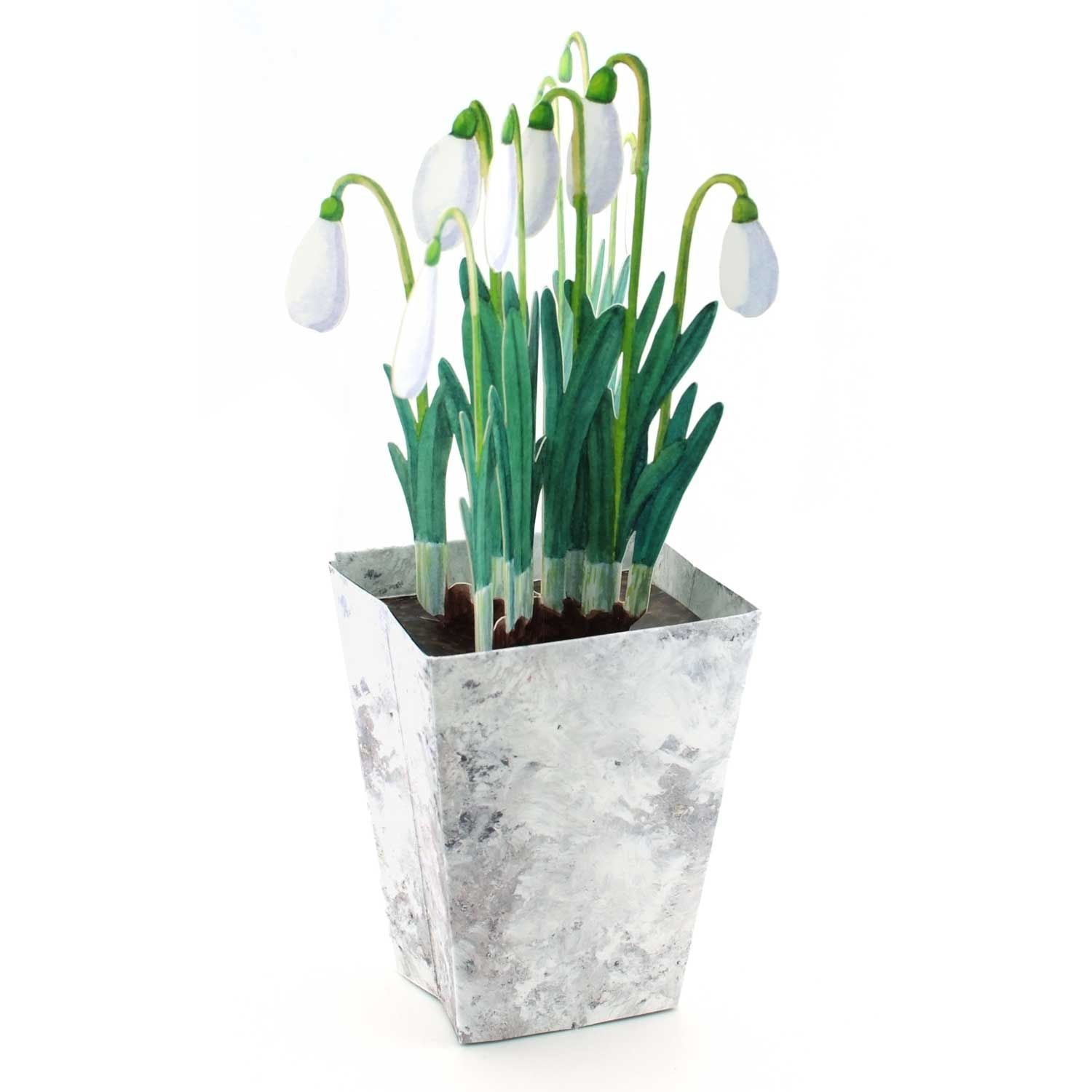 3D flowerpot card "Snowdrop"