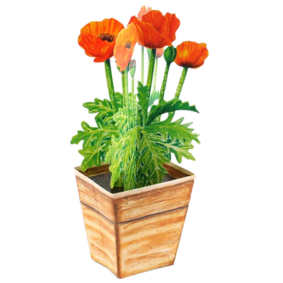 3D-Karten