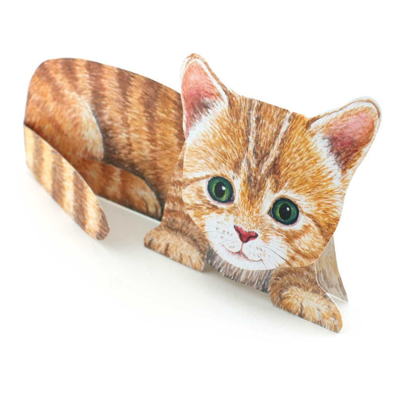 Carte pliante 3D animal "chaton"