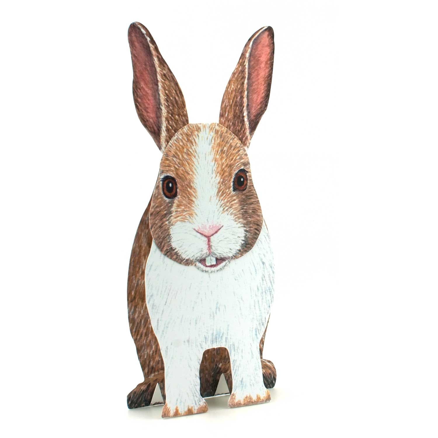 Carte pliante animal 3D "lapin"