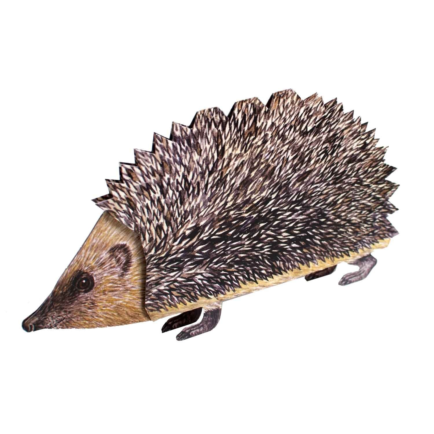 3D Tierfaltkarte "Igel"