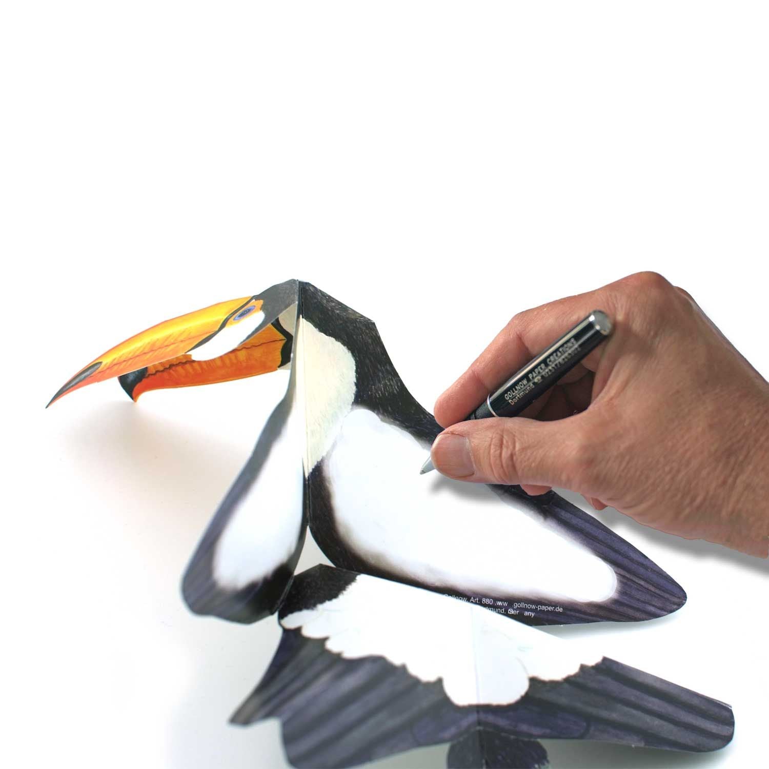 Carte pliante animaux 3D "Toucan"