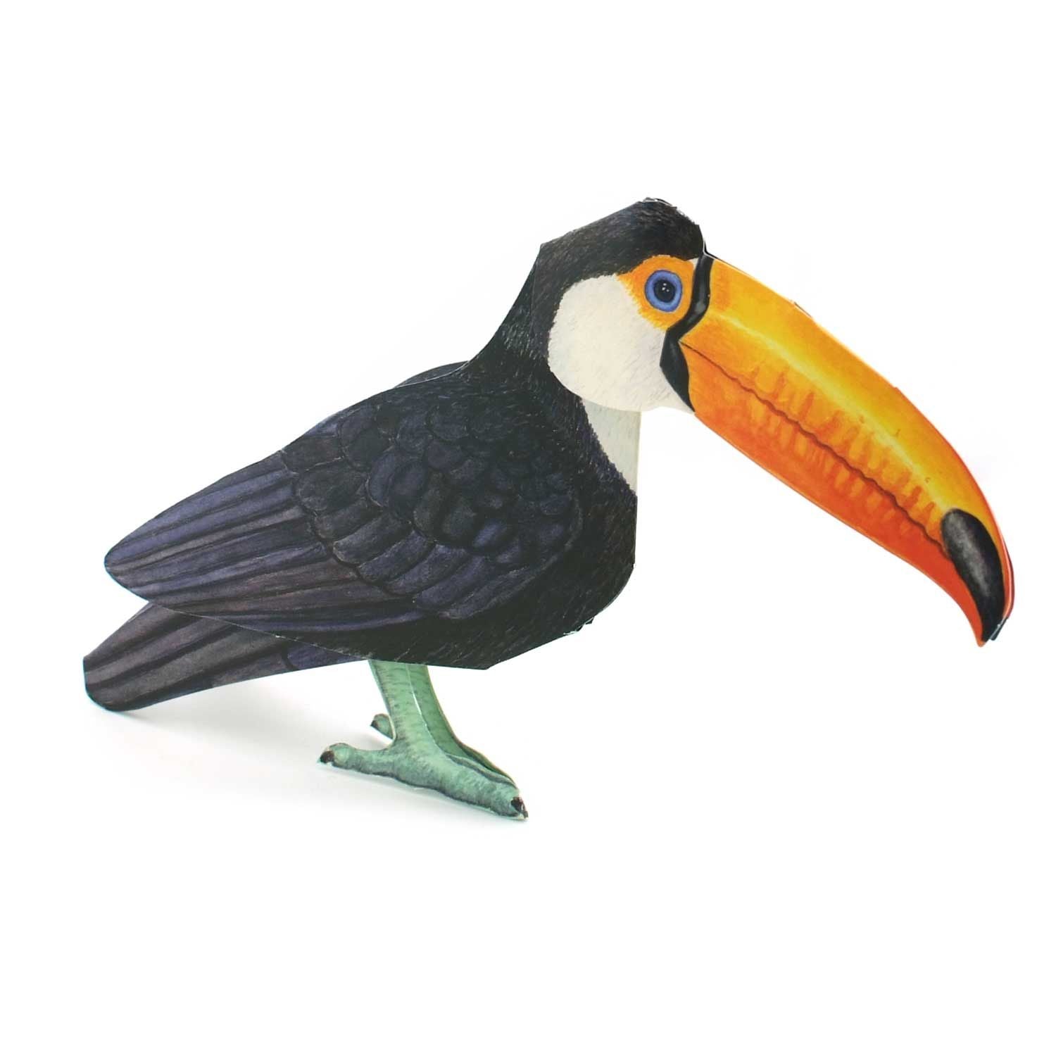 Carte pliante animaux 3D "Toucan"