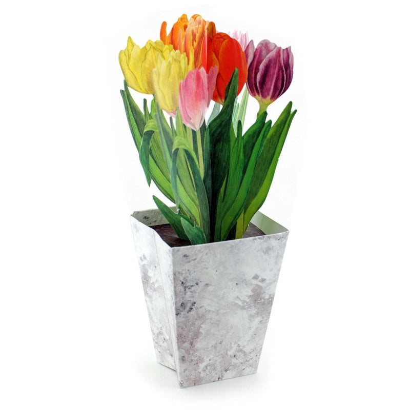 3D flower pot card "Colorful Tulips"