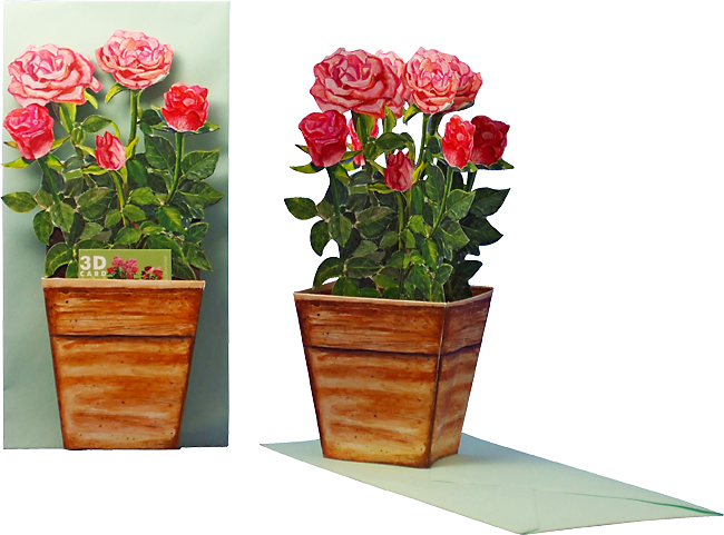 3D-Blumentopfkarte "Rosen"