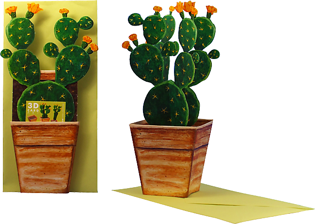 3D flower pot card "cactus"